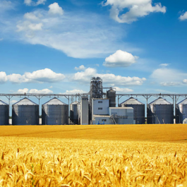 Зерноперерабатывающая промышленность